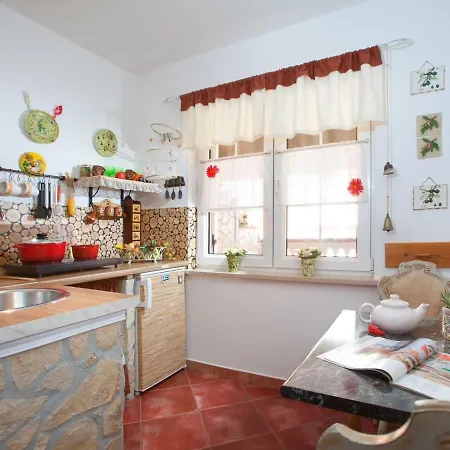 Apartment Shani