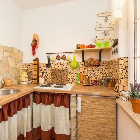 Apartment Shani *